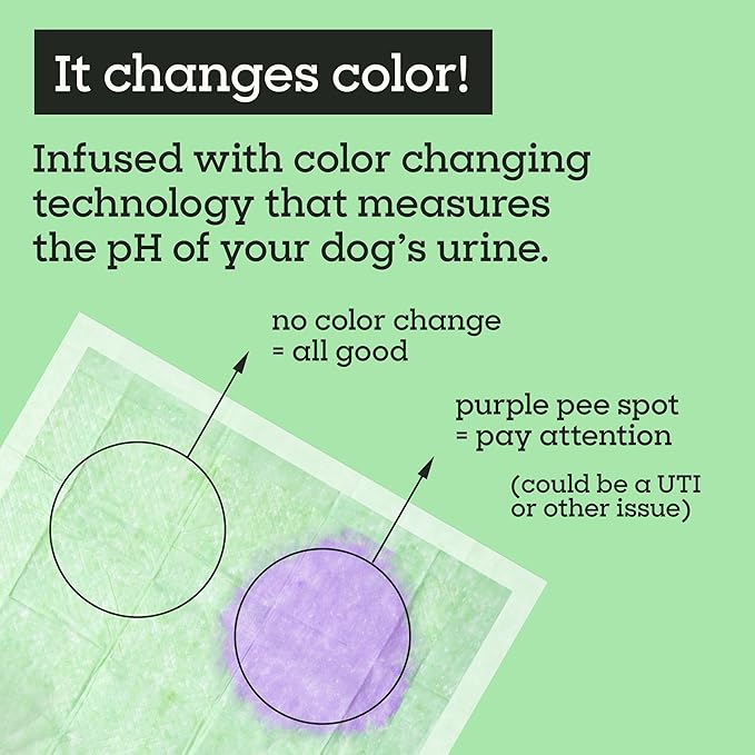 Pet Life Unlimited Health Check Puppy Pads for Dogs, Health Indicating Pee Pads, 10 Count, 22" x 22", Color-Track Technology Detects Common Health Issues, Leak-Proof, Super Absorbent, Made in USA