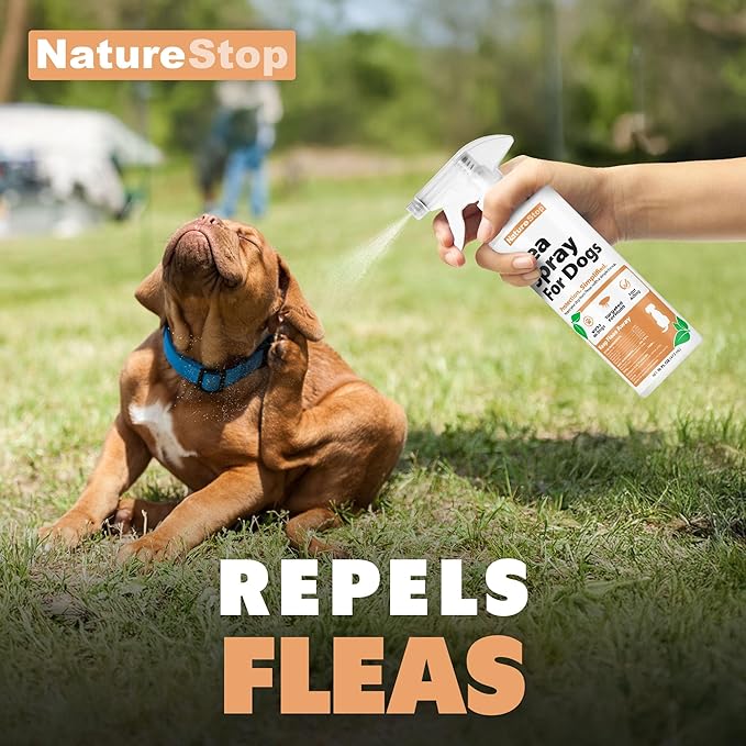 Flea Spray for Dogs, Gentle & Effective Flea Treatment for Pets, 16 oz (475mL)