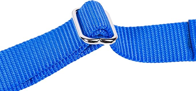GOGO Pet Products 3/4-Inch Martingale Dog Collar, Medium, Blue