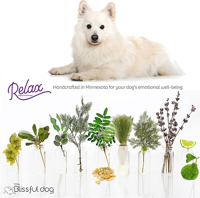 The Blissful Dog American Eskimo Relax Dog Aromatherapy Spray for Your Dog's Anxiety