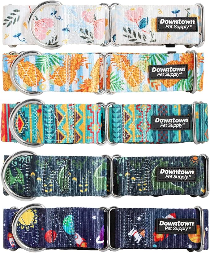 Downtown Pet Supply - Martingale Collar for Dogs - Dog Training Collar - Big, Wide & Thick Dog Collar - Escape-Proof, Weatherproof, Durable and Comfortable - Dino - Large Dog Collar