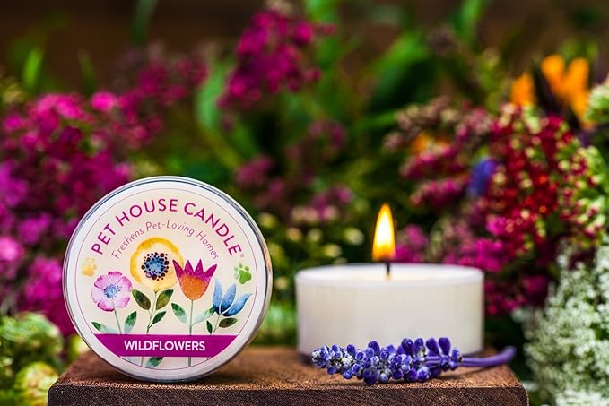 Pet House Mini Candles for Pet Odor Made with Natural Soy Wax, Plant Based, Dog and Cat Friendly Scented, Apple Cider Pack of 3