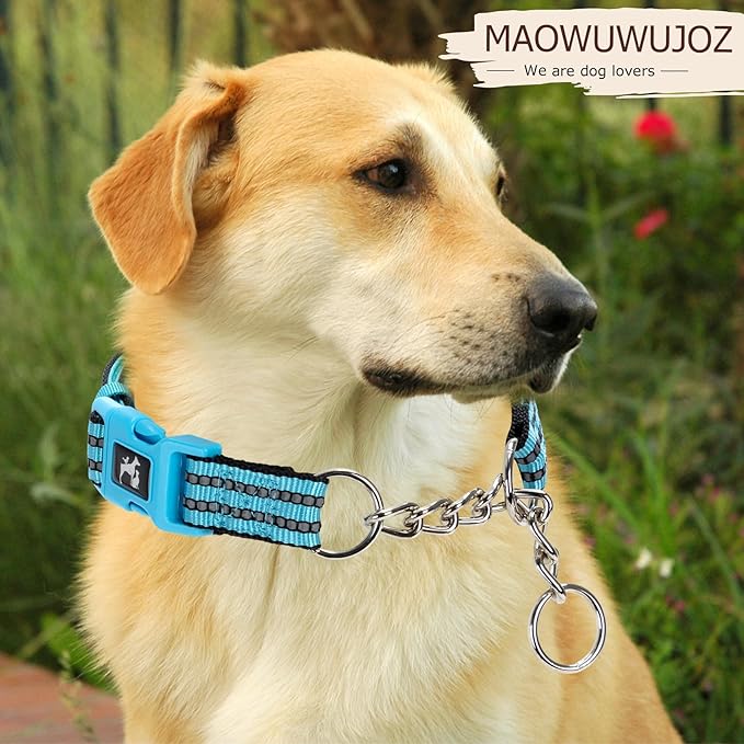 Blue Martingale Dog Collar Designed for Large Breeds, Featuring Anti-Choking Safety, no-Pull Correction for Medium Large Dogs