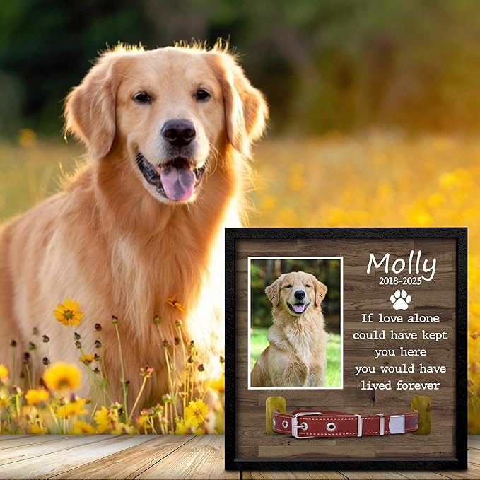 Dog Collar Memorial Frame with Photo – If Love Alone Could Have Kept You Here Quote – Pet Loss Picture Frame with Name and Year – Personalized Dog Memorial Gift with Collar Holder Display