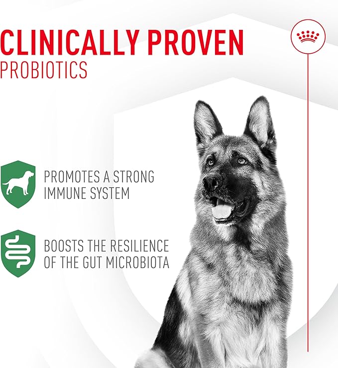 Royal Canin Probiotics for Dogs Digestive and Immune Health Powder Supplement for Dogs of All Ages, 30 Count (Pack of 2)