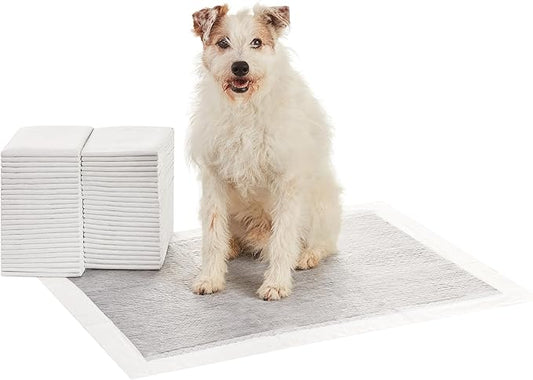 Amazon Basics Carbon Odor Control Dog and Puppy Pee Pads, 5-Layer Leak-Proof Super Absorbent, Quick-Dry Surface for Potty Training and Housebreaking, X-Large Size 28"x34", Gray, 50 Count