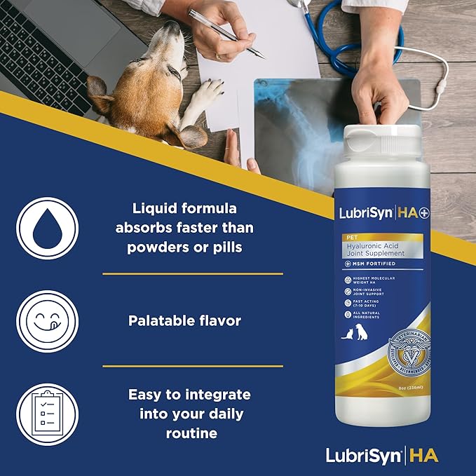LubriSynHA Hyaluronic Acid with MSM Hip & Joint Care Supplement for Dogs, Cats & Horses – Liquid Oral HA for Pets – Joint Support Promotes Mobility, Flexibility, Cartilage Health & Comfort – 8oz