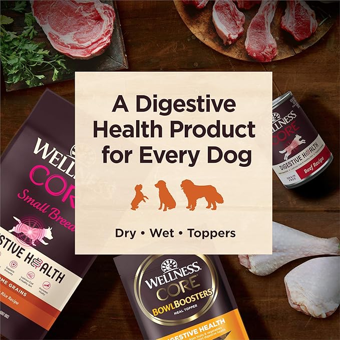 Wellness CORE Digestive Health Dry Dog Food, Wholesome Grains, Natural, Recipe for Dogs with Sensitive Stomachs, Whitefish & Brown Rice, (4-Pound Bag)