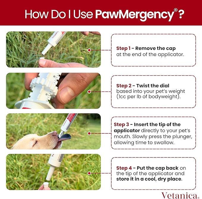 PawMergency – Activated Charcoal First Aid Kit Emergency Rescue 2 Pack for Dogs, Cats, Puppy & Pet Poison Kit, Camping Survival Remedy Essential, Oral Anti Diarrhea Digestive Absorb Toxins