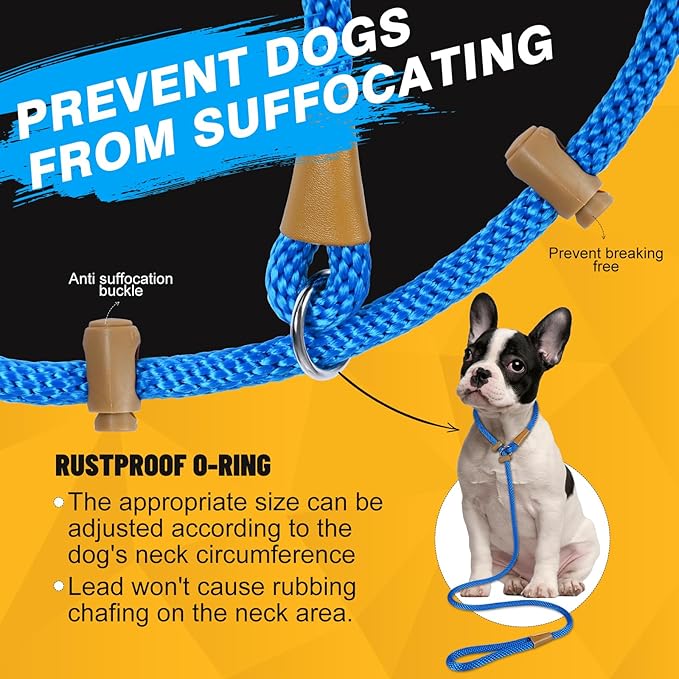 FASTFOX Dog Training Leash, 6ft x 1/2 Inch Slip Lead Loop for Small Medium Large Dogs, No Pull 3-in-1 (Blue)