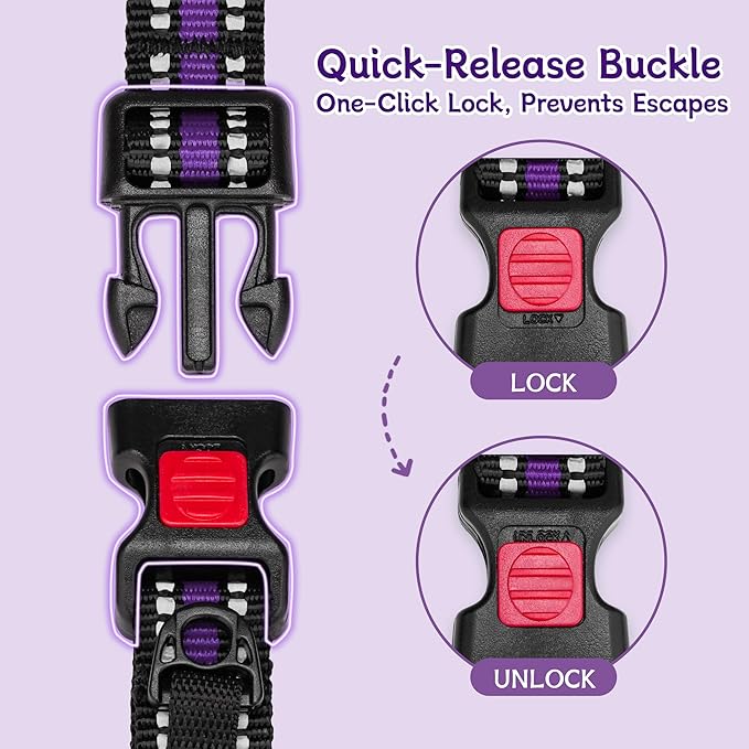 Martingale Collar for Dogs Reflective Collar with Quick Release Buckle, Adjustable Nylon Collars for No Slip Dog Collar, Purple, S