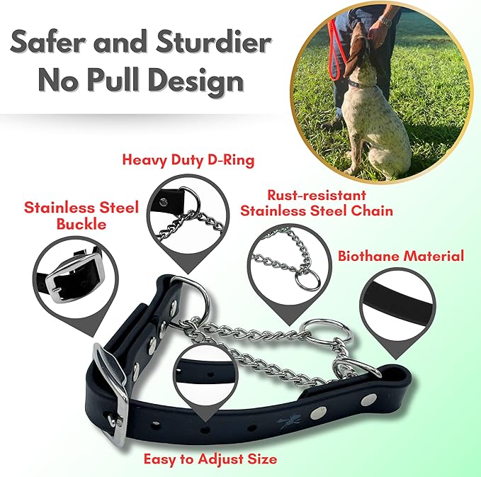 Martingale Collar for Dogs, Biothane, Stainless Steel Hardware, No Pull, Made in The USA, Professional Grade, XS, Black