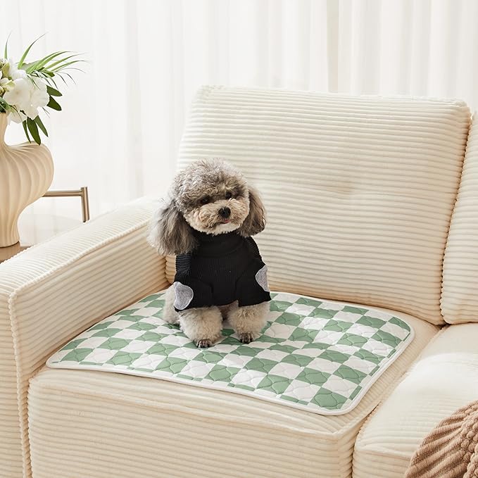Ralxion 2 Pack Sage Green Checkered Washable Pee Pads for Dogs, Checkered Reusable Dog Pee Pads, for Puppy Playpen, Crate, Whelping Box, Potty Training, Cute Aesthetic Absorbency, Leak-Proof Non-Slip