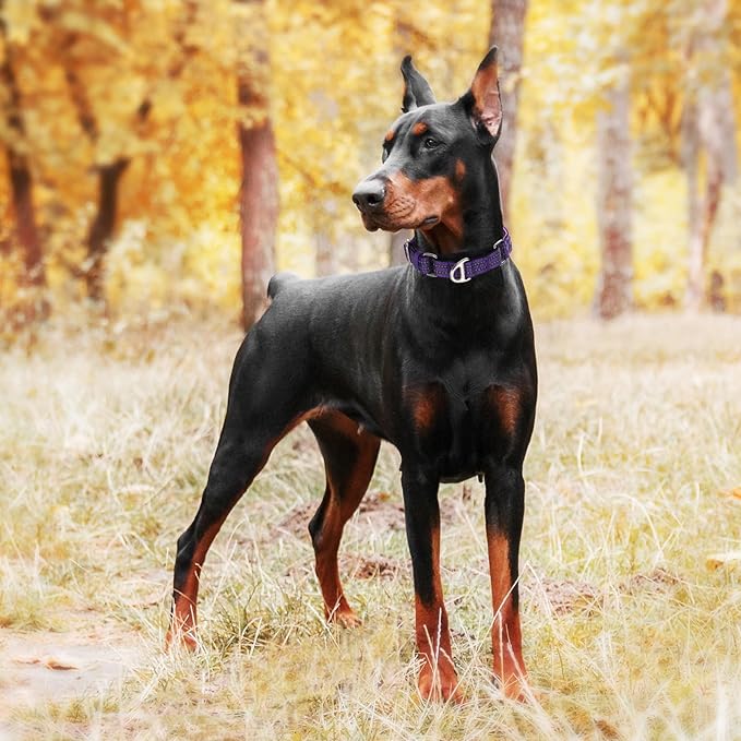 Martingale Collar for Medium Dogs with No Buckle,Reflective Nylon Padded Comfort Safe Dog Collar for Training,Nighttime Walking & Overexcited Pulling Control Dogs,Purple M
