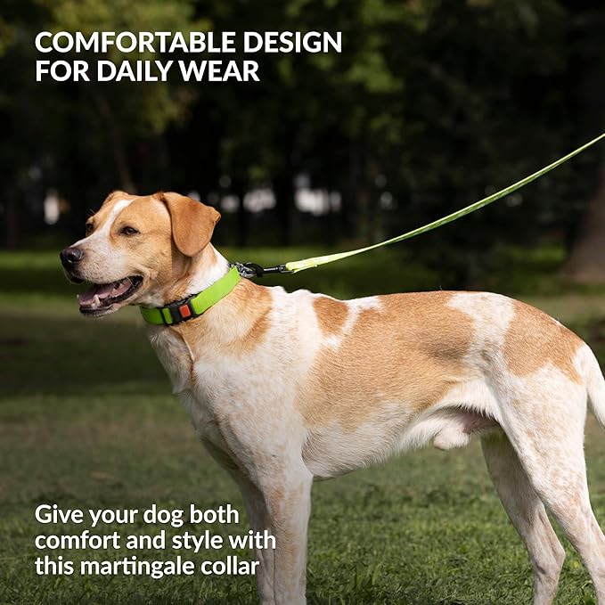 CollarDirect Martingale Dog Collar with Stainless Steel Chain and Quick Release Buckle - Reflective Collar for Large, Medium, Small Dogs - Lime Green, Large (Neck Size 17"-22")