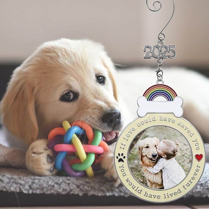 Dog Memorial 2025 Photo Ornament - If Love Could Have Saved You -Design - Sympathy Gift - Bag Included - Choose The Customized Option and We Will Insert Your Photo - 3.5" D