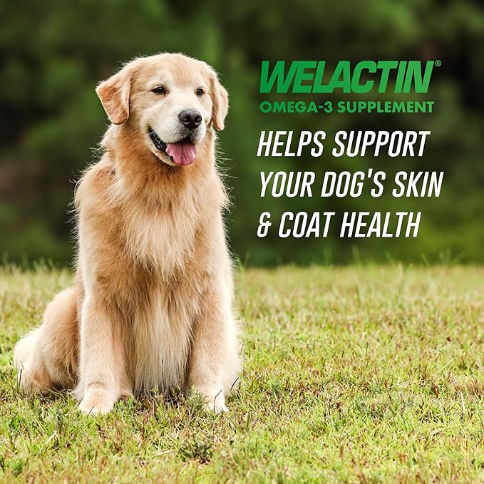 Nutramax Welactin Omega 3 Fish Oil for Dogs, Skin and Coat Health Supplement, Plus Joint, Immune, Kidney, and Brain Support, Premium Omega 3 Fatty Acids, for Dogs, 16 Ounce Liquid (Pack of 3)