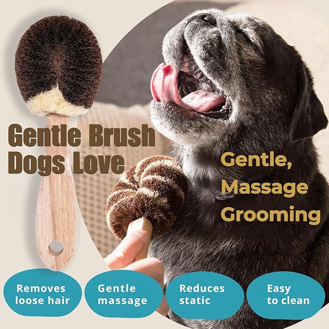Dog Grooming Brush – Natural Fiber Dog Brush for Gentle Finishing & Daily Coat Care, Made in Japan, Low Static, Wooden Handle (Small Dog B)
