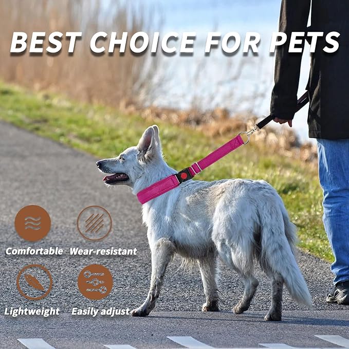 Martingale No Pull Dog Collar for Large Medium Small Dogs, Heavy Duty Nylon Reflective Adjustable Anti Pull Slip Collar with Buckle for Training Walking L Hot Pink