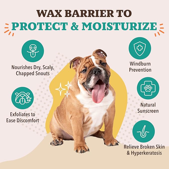 Natural Dog Company Snout Soother Balm – Dog Nose Balm for Dry Cracked Snouts, Moisturizing Winter Nose Care with Coconut Oil & Shea Butter, Lick Safe Dog Snout Balm for All Breeds, 0.15 oz Stick