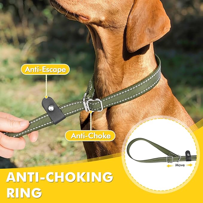 XiaZ 6FT Dog Leash with Comfortable Flat Collar and Soft Padded Handle,Nylon Reflective Double Handle No Pull Leash for Small Medium Large Dogs, Training Walking Running (Green)