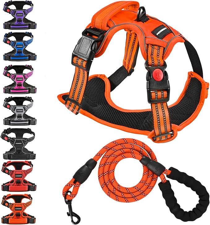 No Pull Dog Harness with A Free Heavy Duty 5ft Dog Leash, Adjustable Soft Padded Dog Vest, Reflective No-Choke Pet Oxford Vest with Easy Control Handle for Small and Large Dogs(Orange, Small)