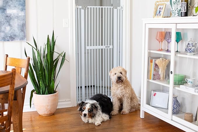 BIRDROCK HOME Extra Tall Pet Gate for Doorways | 60in Tall Cat or Dog Indoor Gate | Adjustable 31in-36in Width | Auto Close | Includes Protective Wall Cups - White