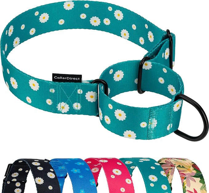 CollarDirect Martingale Collars for Dogs Heavy Duty Floral Pattern Female Safety Nylon Training Wide Collar Flower Design Large Medium (L, Neck Size 15"-20", Aquamarine)