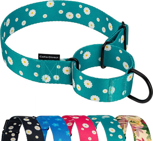CollarDirect Martingale Collars for Dogs Heavy Duty Floral Pattern Female Safety Nylon Training Wide Collar Flower Design Large Medium (L, Neck Size 15"-20", Aquamarine)