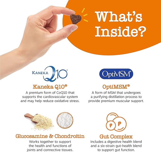 8-in-1 Multifunctional Supplements for Dogs - Glucosamine Chondroitin for Joint Support with Probiotics for Gut & Immune Health – Omega Fish Oil Antioxidants for Skin & Heart Health - 90ct, 4 Pack