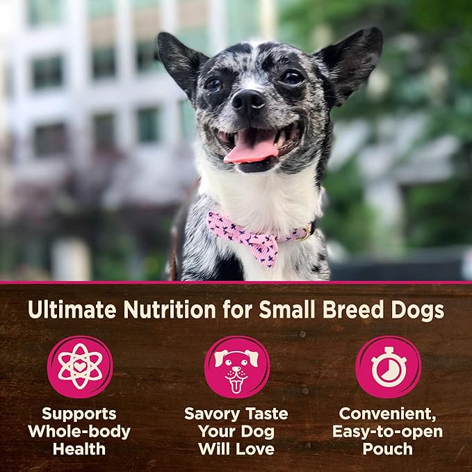 Wellness CORE Natural Grain Free Small Breed Mini Meals Wet Dog Food, Shredded Chicken & Lamb Entrée in Gravy, 3-Ounce Pouch (Pack of 12)