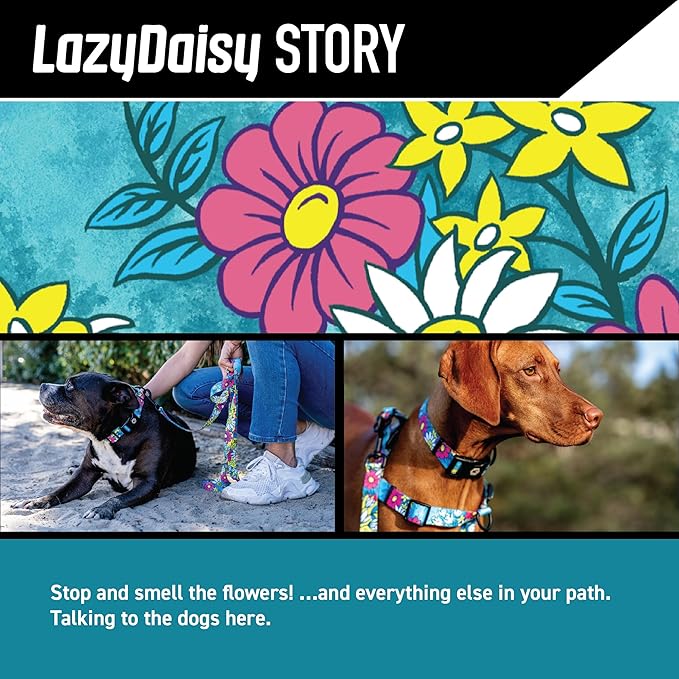 Wolfgang Heavy Duty Martingale Dog Collar with Quick Release Nylon Buckle for Walking & Training, LazyDaisy Print, Medium