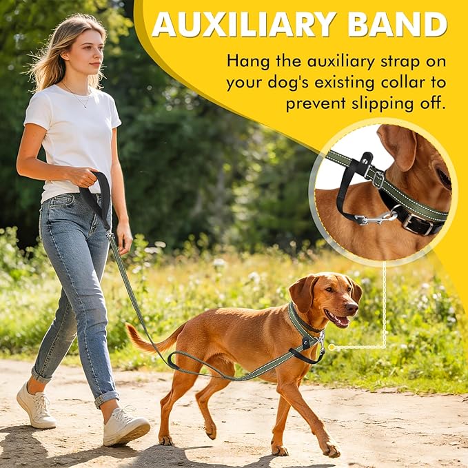 XiaZ 6FT Dog Leash with Comfortable Flat Collar and Soft Padded Handle,Nylon Reflective Double Handle No Pull Leash for Small Medium Large Dogs, Training Walking Running (Green)