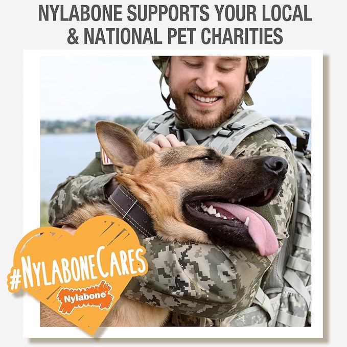 Nylabone Healthy Edibles Natural Dog Chews Long Lasting Meaty Center Beef Flavor Treats for Dogs, Small (12 Count)