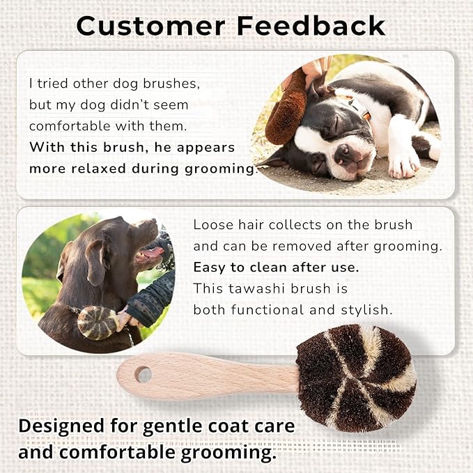 Dog Grooming Brush – Natural Fiber Dog Brush for Gentle Finishing & Daily Coat Care, Made in Japan, Low Static, Wooden Handle (Large Dog)