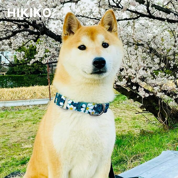 Hikiko 1.5 inch Martingale Collar with No Buckle Heavy Duty Floral Daisy Dog Collars for Medium Large Dogs,Green Flower
