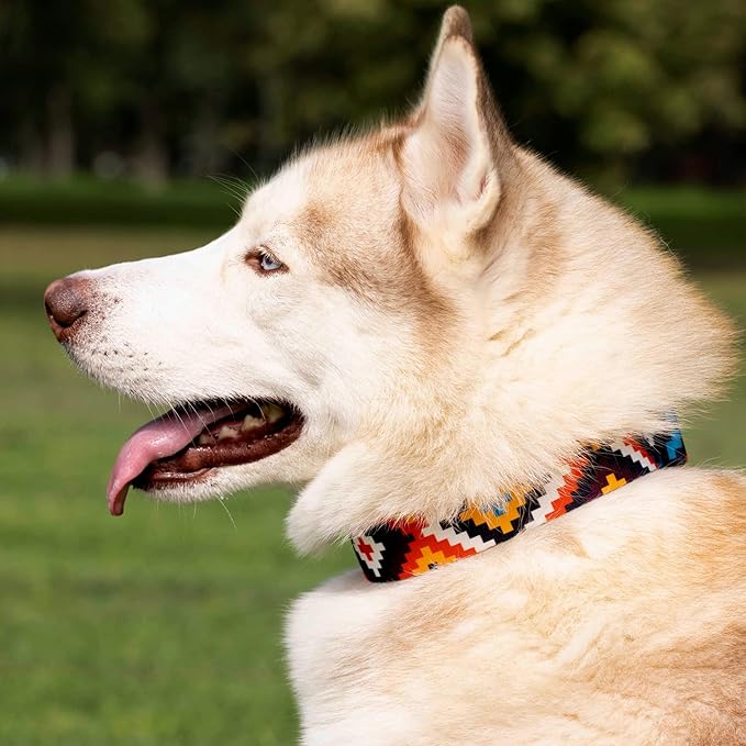 CollarDirect Aztec Martingale Collars for Dogs Heavy Duty Tribal Pattern Safety Nylon Training Collar Large Medium Small (Tribal, XL, Neck Size 19"-24")