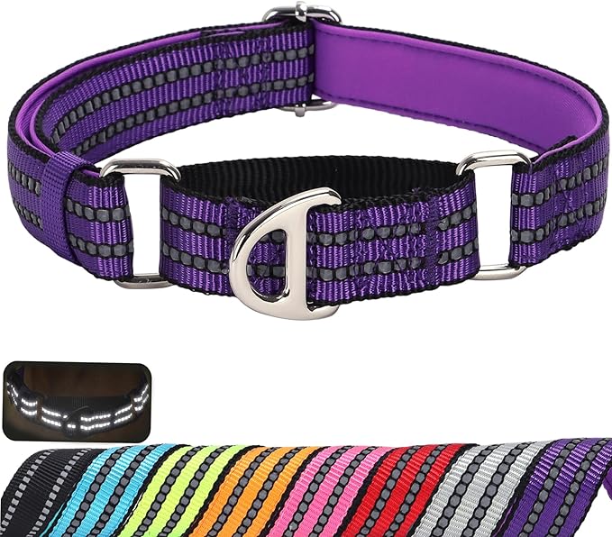 Martingale Collar for Small Dogs with No Buckle,Reflective Nylon Padded Comfort Safe Dog Collar for Training,Nighttime Walking & Overexcited Pulling Control Dogs,Purple S