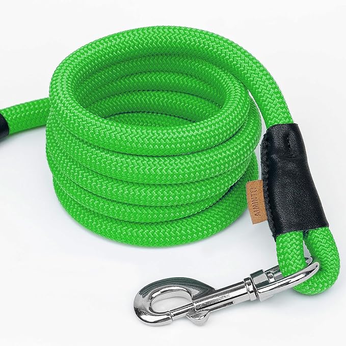 Dog Leash, Braided Rope Traction – Walking Training Lead for Medium/Large Dogs ((1/2") x 6FT, Light Green)