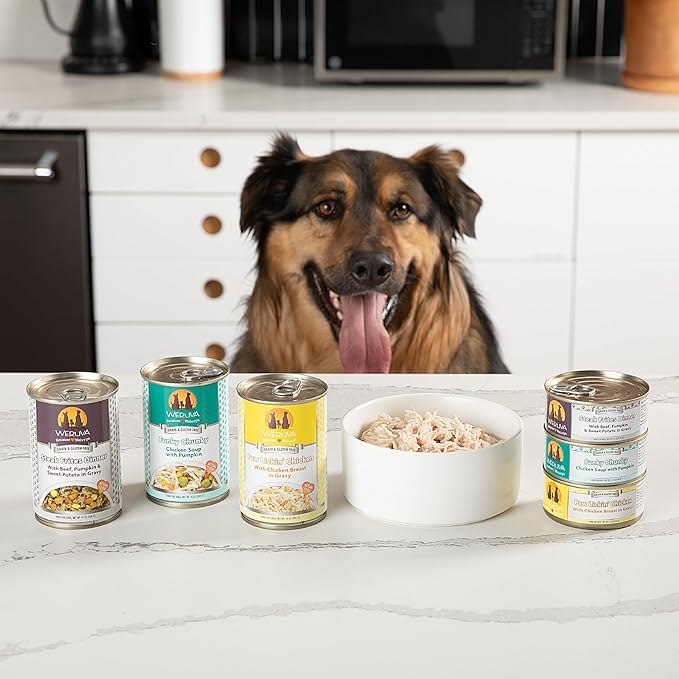 Weruva Classic Dog Food, Hot Dayam! with Lamb in Gelée, 5.5oz Can (Pack of 24)