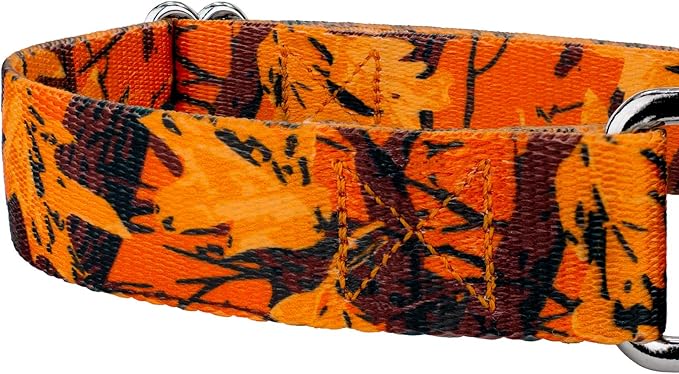 Country Brook Petz - Orange Sunset Camo Martingale Dog Collar - Camouflage Collection Featuring Rugged Designs (1 Inch, Medium)