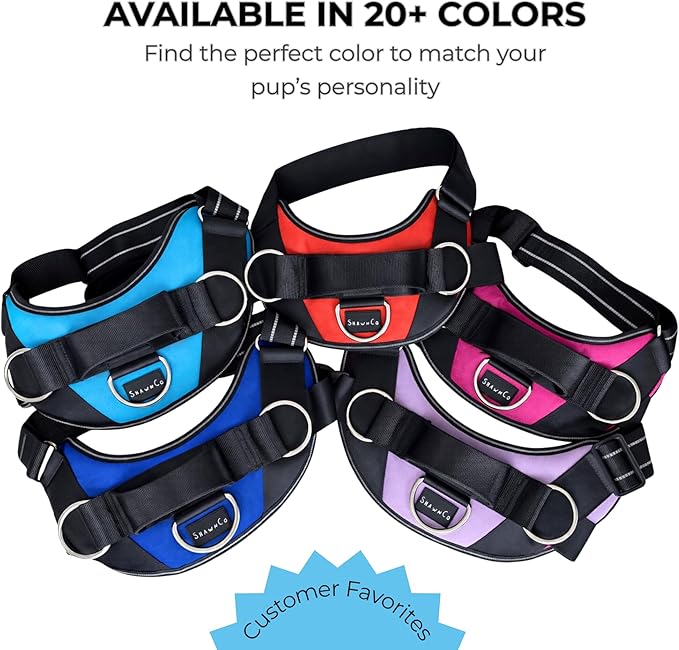 ShawnCo Essential Dog Harness, No-Pull Pet Vest with 3 Leash Clips, No Choke, Reflective, Adjustable and Padded, for Easy Walking and Training for Small, Medium and Large Dogs (Pacific Blue, L)