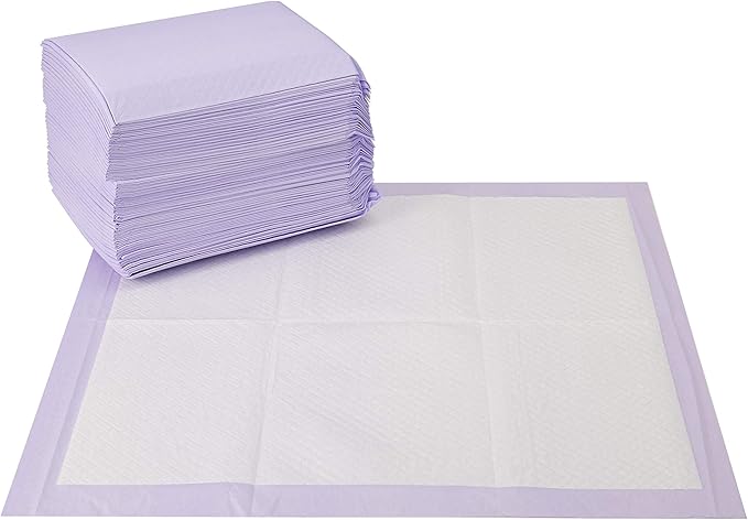 Wags & Wiggles Training Pads for Dogs - Super Absorbent Puppy Pee Pads - Way to Keep Your Home Clean and Train Your Dog and Puppy, 21"x 21" - 50 Count