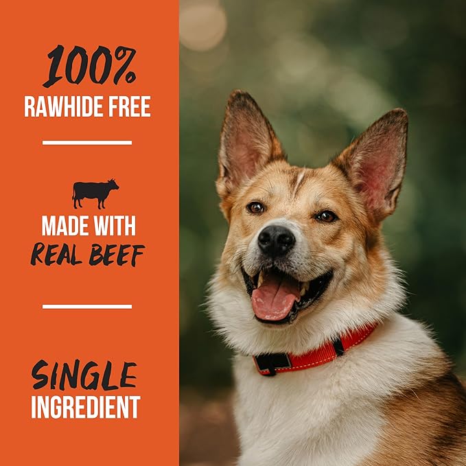 Scott Pet Grillerz 2-3 inch Beefy Bone, 1 Count, Rawhide Free, All Natural Treat for All Breeds, Long Lasting, Easy to Digest, Dog Chew for Healthy Teeth