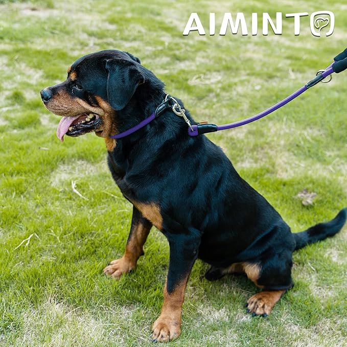Dog Leash, Braided Rope Traction – Walking Training Lead for Medium/Large Dogs ((1/2") x 2FT, Purple)