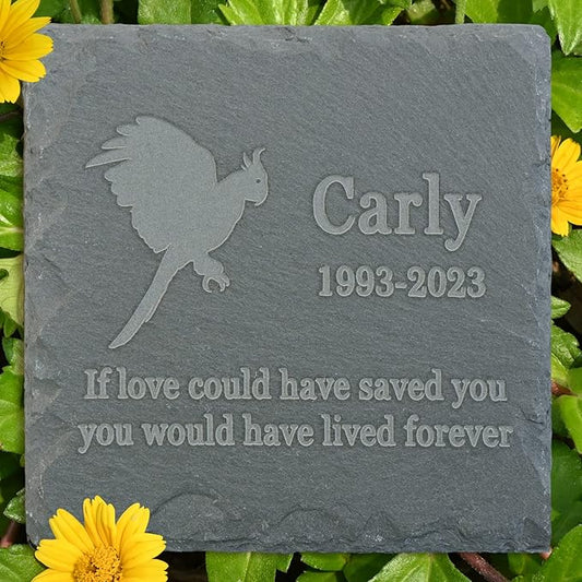 Pet Memorial Stone Gift - Garden Memorial Gravestone - Parrot Grave Marker - Sympathy Headstone - Personalized Parrot Loss Sympathy Gift - Memorial Gifts - Bereavement Gift for Loss of Pet