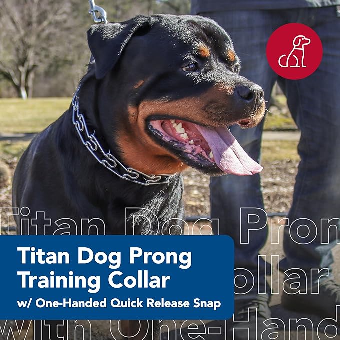 Coastal Pet Titan Dog Prong Quick Release Training Collar - Pet Training Collar for Dogs - Rust-Resistant Metal Dog Collar for Dog Training - Prong Dog Chain Collar - Quality Dog Supplies -3.3mm x 20"
