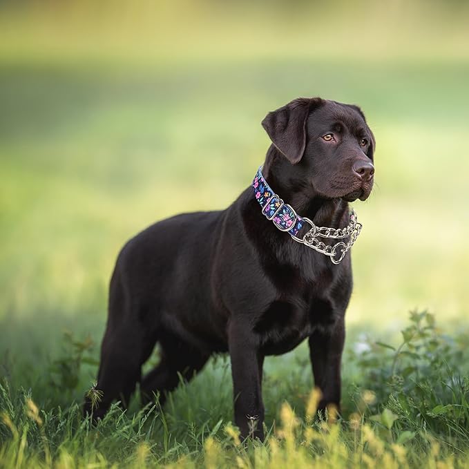 Stainless Steel Chain Dog Martingale Collar, No Pull Slip Cinch Choker Choke Collar Training Escape Proof Heavy Duty Dog Collar for Small Medium Large Pet Girl Female Dogs, Purple Floral M