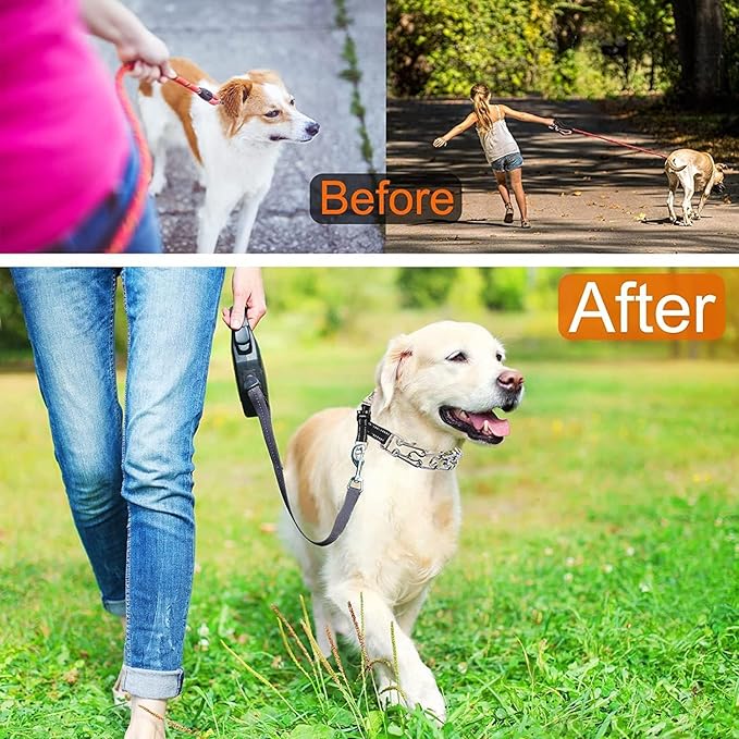 Adjustable Dog Collar with Comfortable Rubber Tip and Quick Release Buckle for Small Medium Large Dogs (Small, Black)