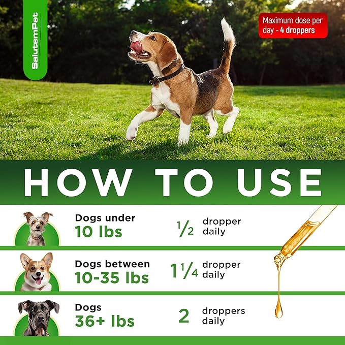 Natural Antibiotics for Dogs and Puppies | Antibiotics for Dogs of All Ages | Herbal Ingredients | Helps with Allergies and UTIs | for Balanced Digestion | Joint Care | Bacon Taste | 2 Oz